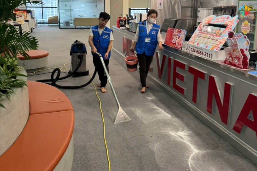 cach giat tham trai nha (9)