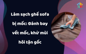 Làm sạch ghế sofa bị mốc