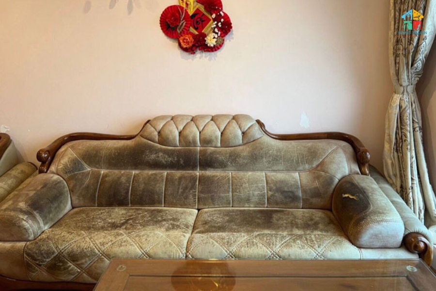 cach giat sofa da tai nha (2)