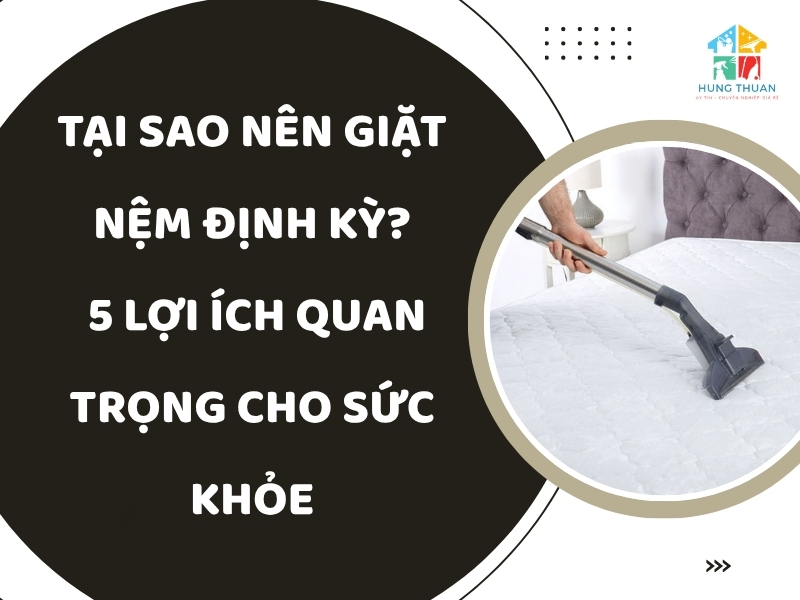 Tại sao nên giặt nệm định kỳ