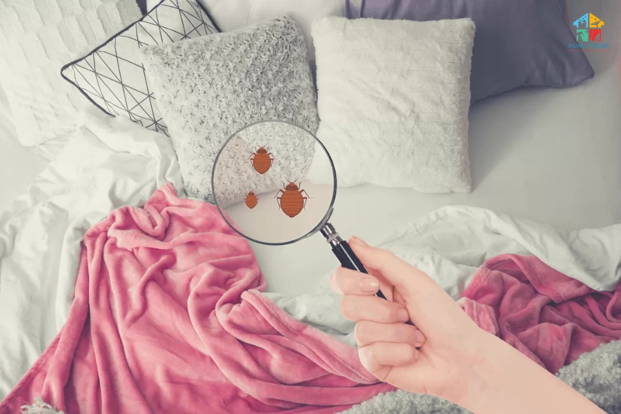 giặt nệm tại nhà Hà Nội