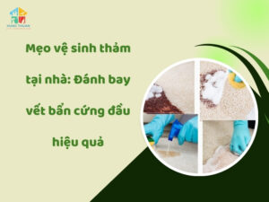 Mẹo vệ sinh thảm tại nhà
