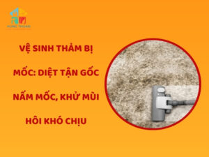 Vệ sinh thảm bị mốc