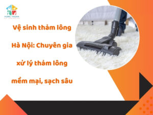 Vệ sinh thảm lông Hà Nội
