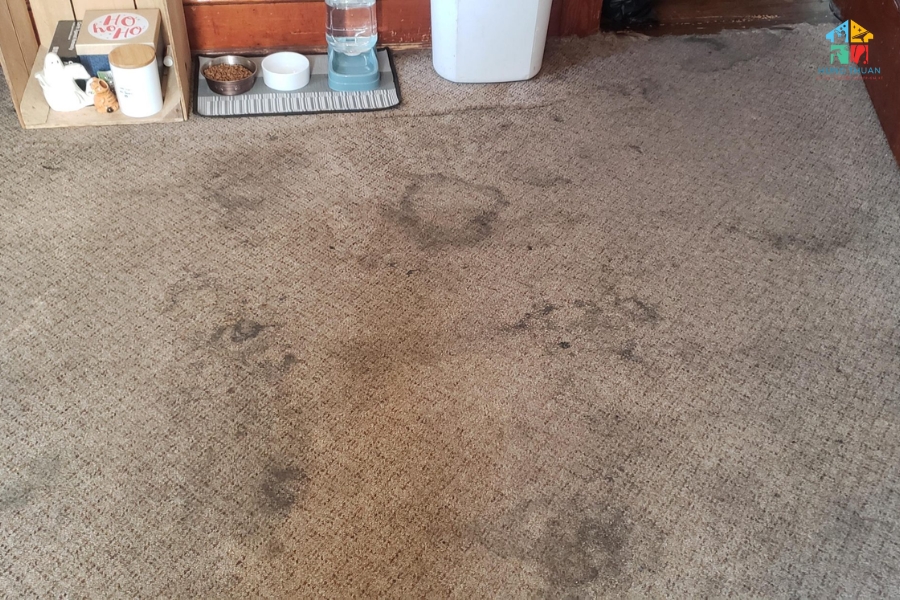 giat tham tai nha ha noi Giặt thảm tại nhà Hà Nội