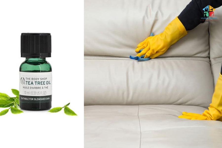 Giặt ghế sofa bị mốc (6)