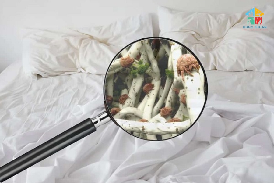 Giặt nệm bị dính thức ăn