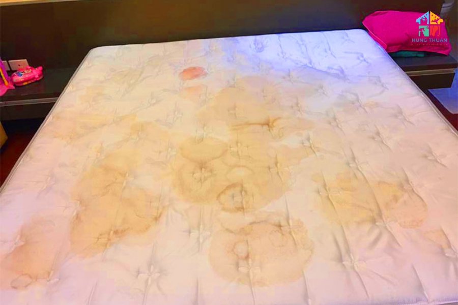 Giặt nệm bị ố vàng Giặt nệm bị ố vàng