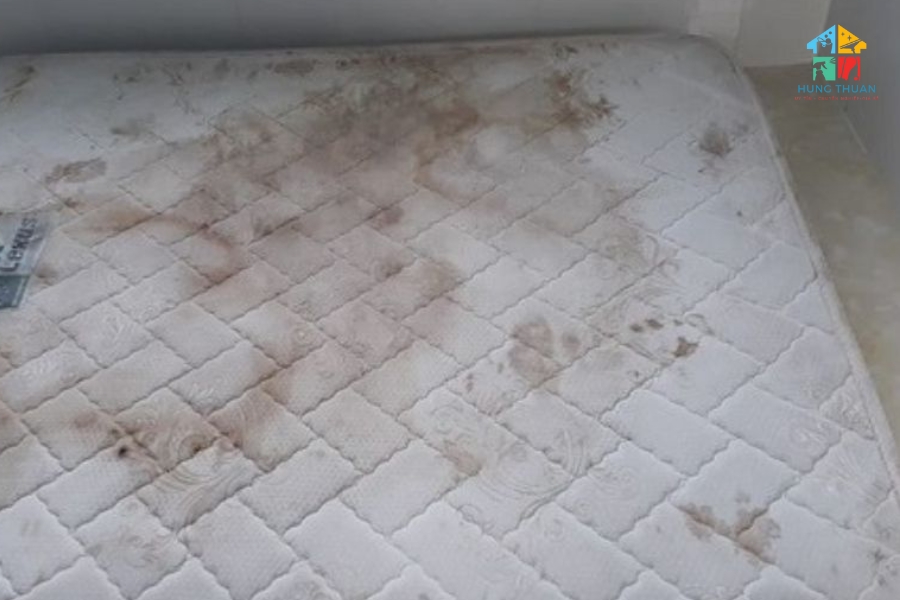 Khử mùi nệm tận nhà