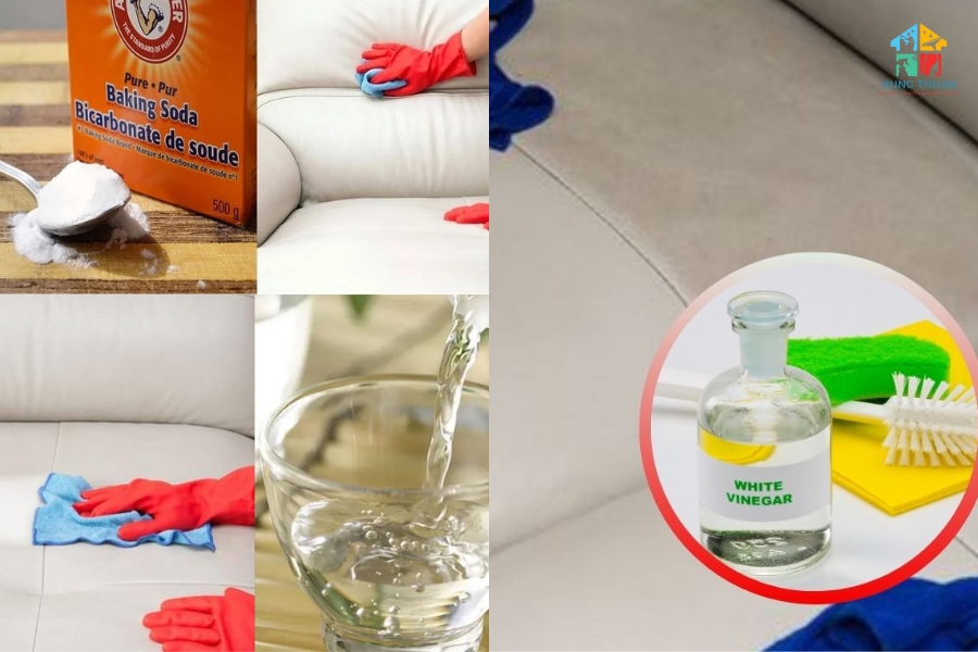 Làm sạch sofa sau khi thú cưng tè