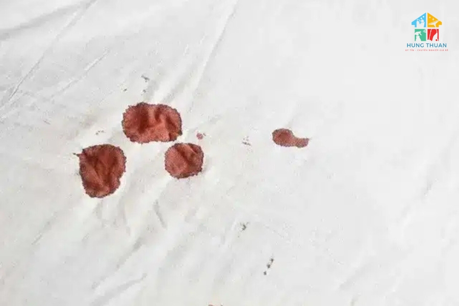 giặt nệm bị dính máu