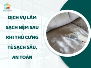 làm sạch nệm sau khi thú cưng tè