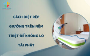 Cách diệt rệp giường trên nệm triệt để không lo tái phát