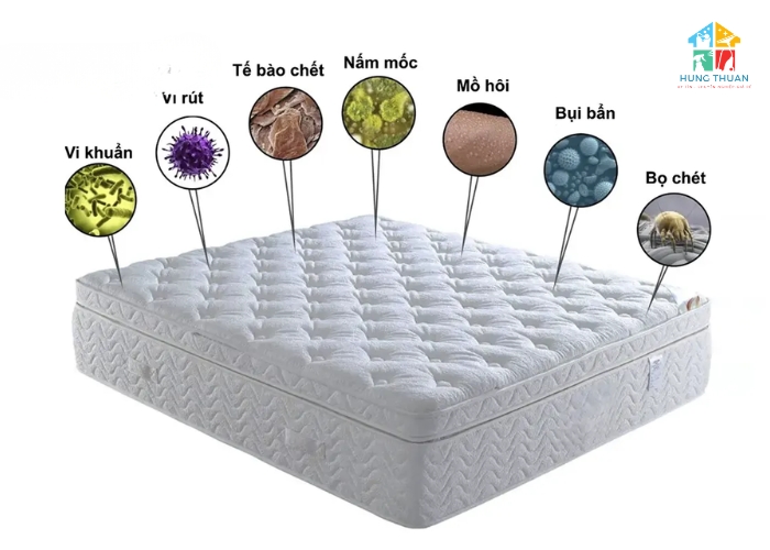 Cách phân biệt nệm sạch và nệm bẩn (2) Cách phân biệt nệm sạch và nệm bẩn (2)