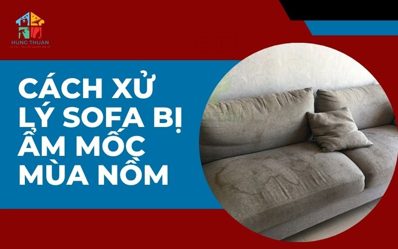 Cách xử lý sofa bị ẩm mốc mùa nồm