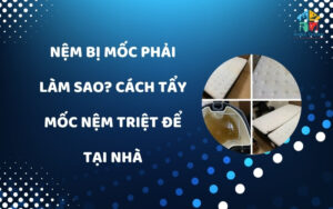 Nệm bị mốc phải làm sao