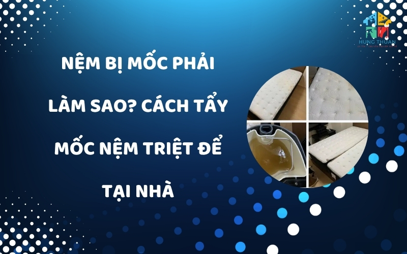 Nệm bị mốc phải làm sao