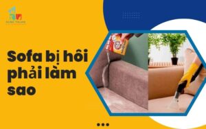 Sofa bị hôi phải làm sao