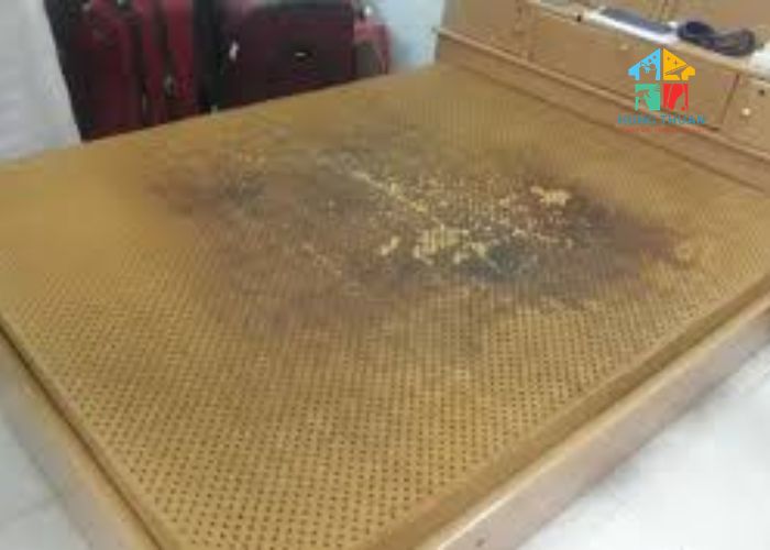 Tác hại của việc không giặt nệm (6) Tác hại của việc không giặt nệm (6)