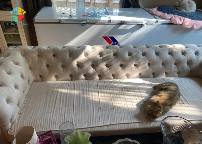 Giặt ghế sofa Vĩnh Long (1) Giặt ghế sofa Vĩnh Long (1)