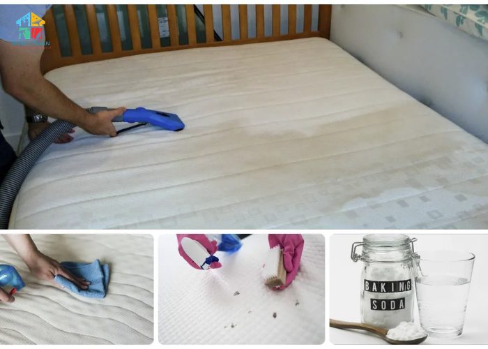 Cách làm sạch nệm bị mốc (4) Cách làm sạch nệm bị mốc (4)